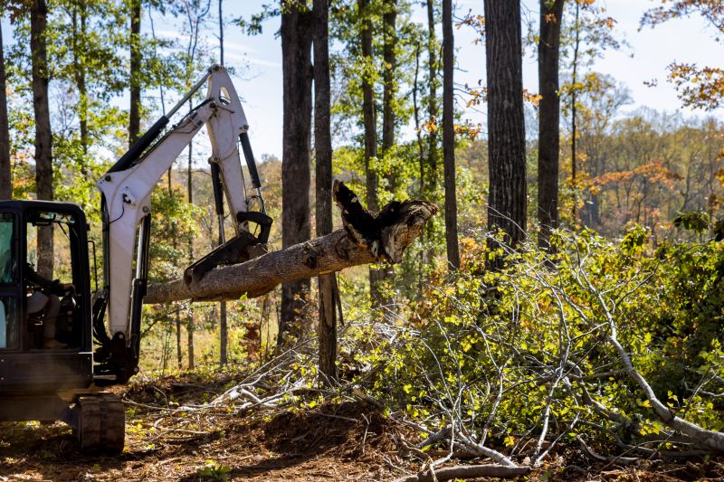Whatâ€™s Involved In Professional Land Clearing?