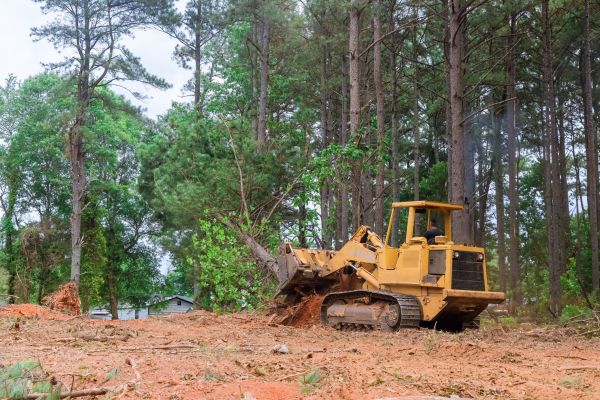 Cost of Site Cleaning in Issaquah